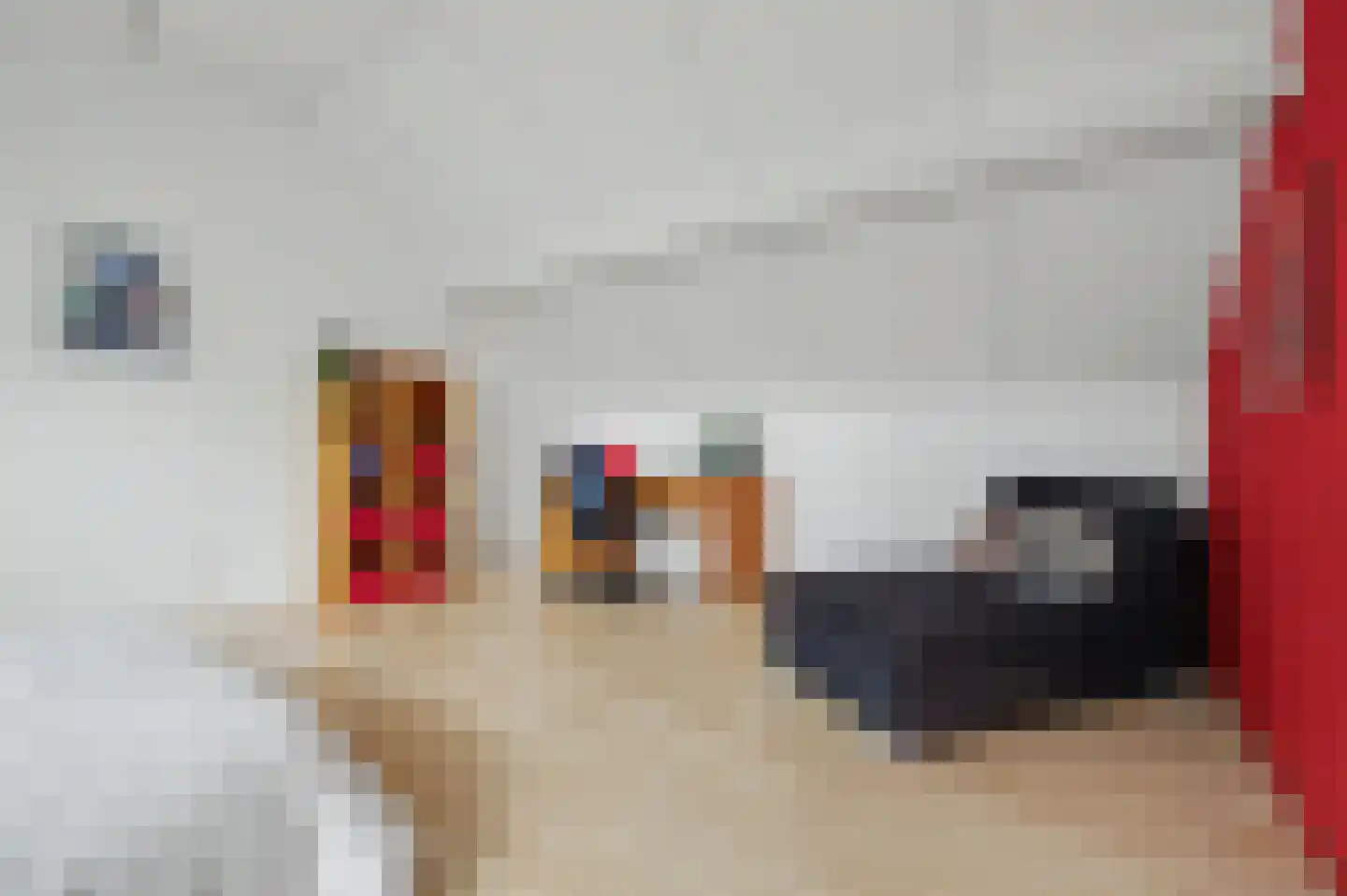 Deken van Baarstraat 21 A Vlijmen thumbnail 56