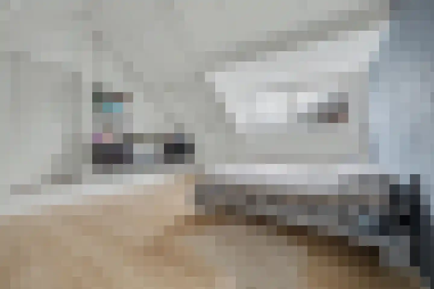 Deken van Baarstraat 21 A Vlijmen thumbnail 59