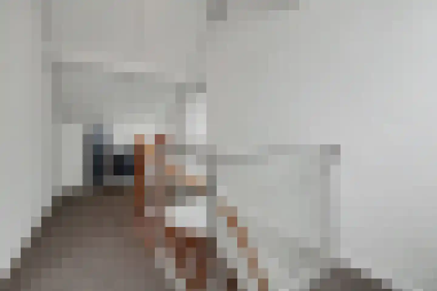 Deken van Baarstraat 21 A Vlijmen thumbnail 62