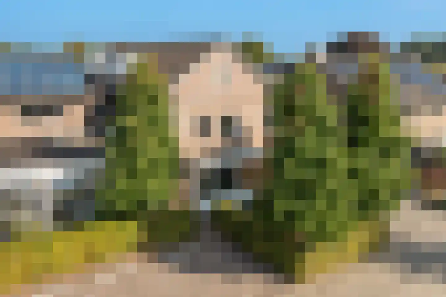 Deken van Baarstraat 21 A Vlijmen thumbnail 78