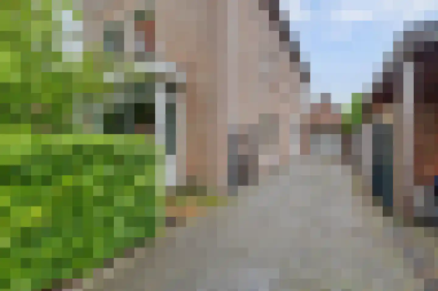 Deken van Baarstraat 21 A Vlijmen thumbnail 79