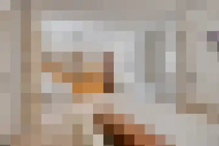 Deken van Baarstraat 31 Vlijmen thumbnail 11