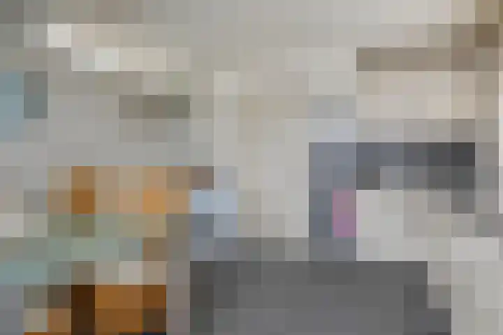 Deken van Baarstraat 31 Vlijmen thumbnail 14