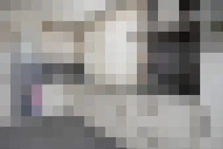 Deken van Baarstraat 31 Vlijmen thumbnail 16