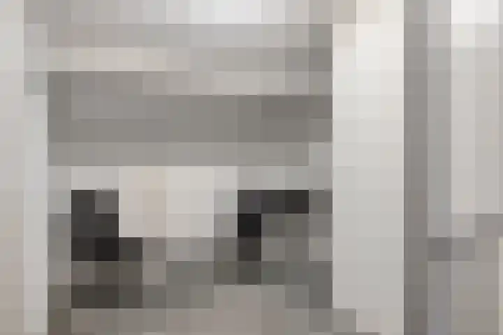 Deken van Baarstraat 31 Vlijmen thumbnail 25