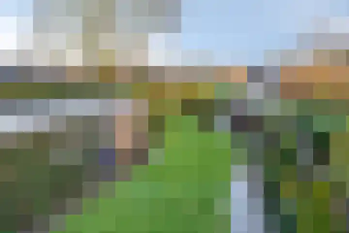Deken van Baarstraat 31 Vlijmen thumbnail 30