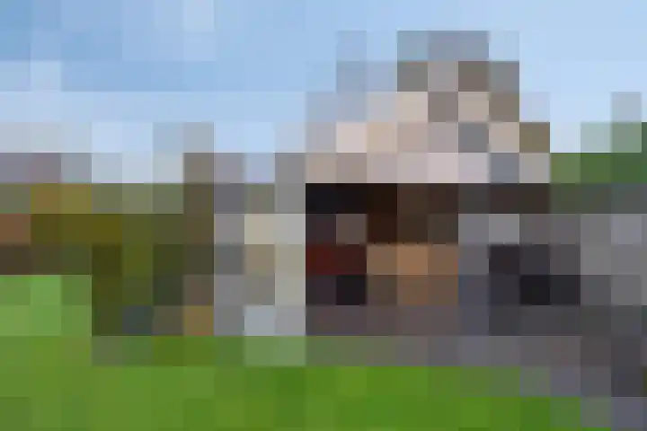Deken van Baarstraat 31 Vlijmen thumbnail 31