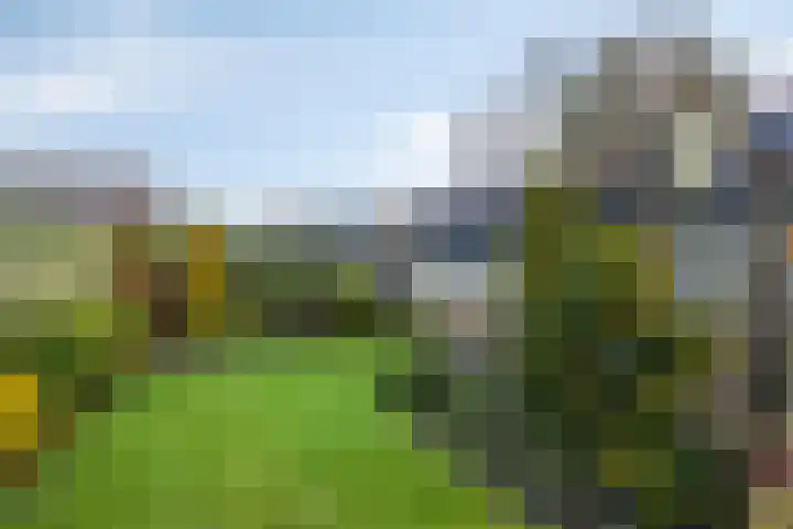 Deken van Baarstraat 31 Vlijmen thumbnail 33