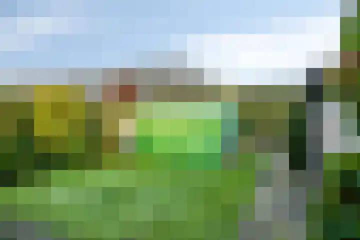 Deken van Baarstraat 31 Vlijmen thumbnail 34