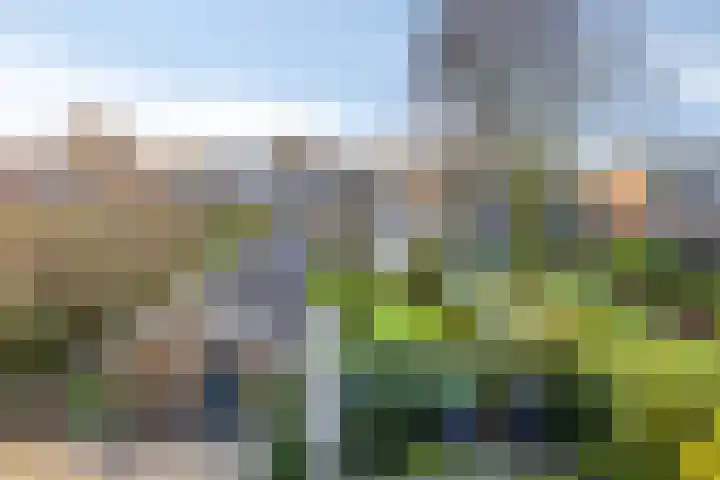 Deken van Baarstraat 31 Vlijmen thumbnail 36