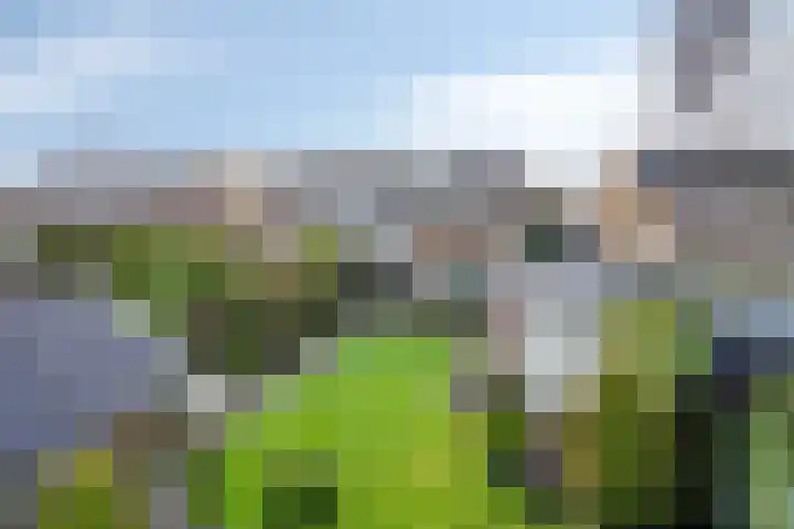Deken van Baarstraat 31 Vlijmen thumbnail 37