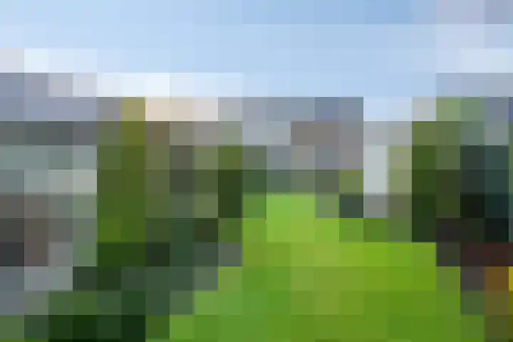 Deken van Baarstraat 31 Vlijmen thumbnail 38