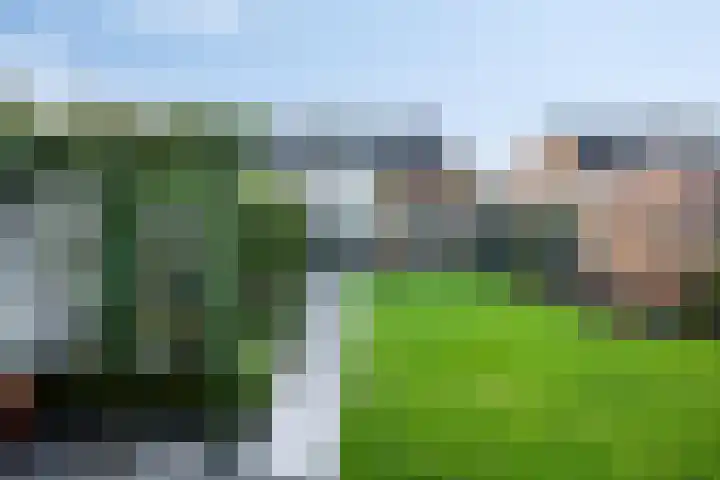 Deken van Baarstraat 31 Vlijmen thumbnail 39