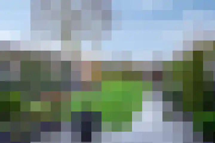 Deken van Baarstraat 31 Vlijmen thumbnail 4