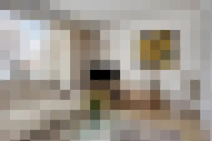 Deken van Baarstraat 31 Vlijmen thumbnail 8