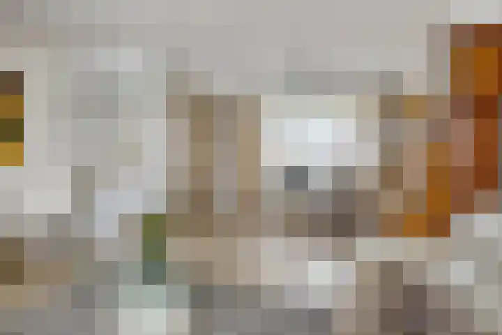 Deken van Baarstraat 31 Vlijmen thumbnail 9