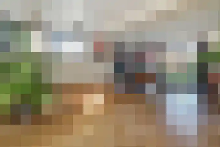 Deken van Baarstraat 45 Vlijmen thumbnail 10