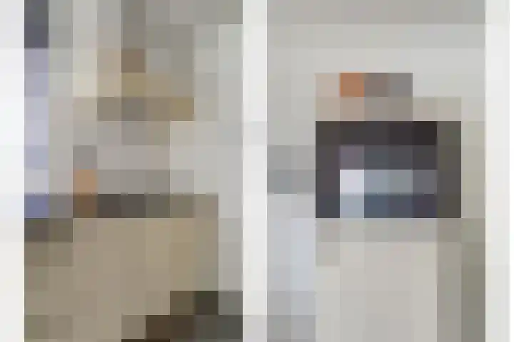 Deken van Baarstraat 45 Vlijmen thumbnail 20