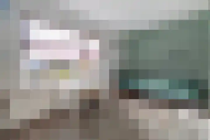 Deken van Baarstraat 45 Vlijmen thumbnail 27