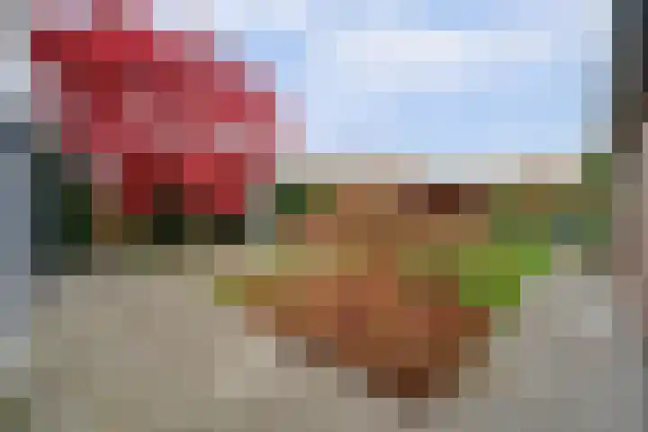 Deken van Baarstraat 45 Vlijmen thumbnail 41