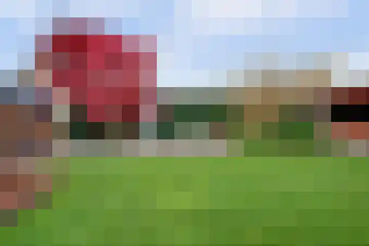 Deken van Baarstraat 45 Vlijmen thumbnail 42