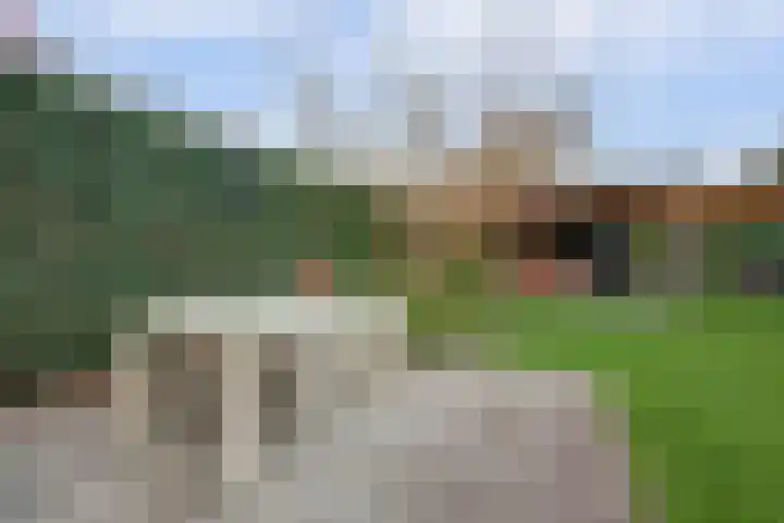 Deken van Baarstraat 45 Vlijmen thumbnail 43