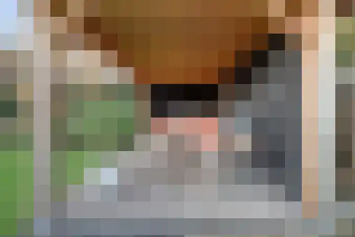 Deken van Baarstraat 45 Vlijmen thumbnail 44