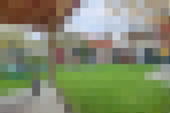 Deken van Baarstraat 45 Vlijmen thumbnail 46