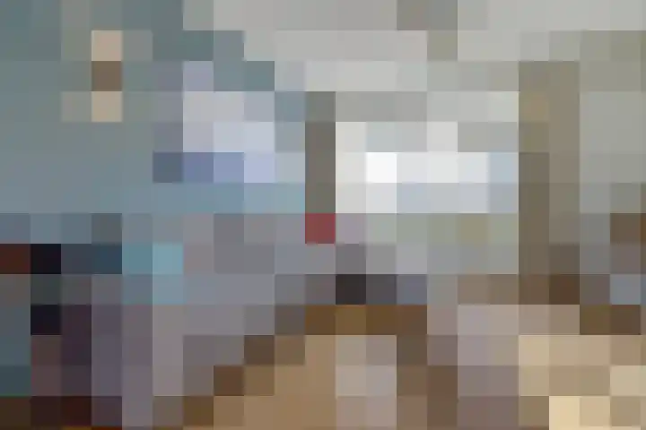 Deken van Baarstraat 45 Vlijmen thumbnail 5
