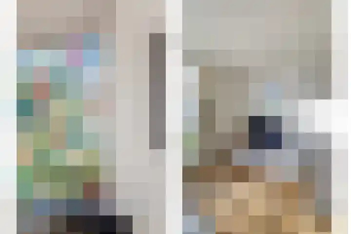 Deken van Baarstraat 45 Vlijmen thumbnail 7