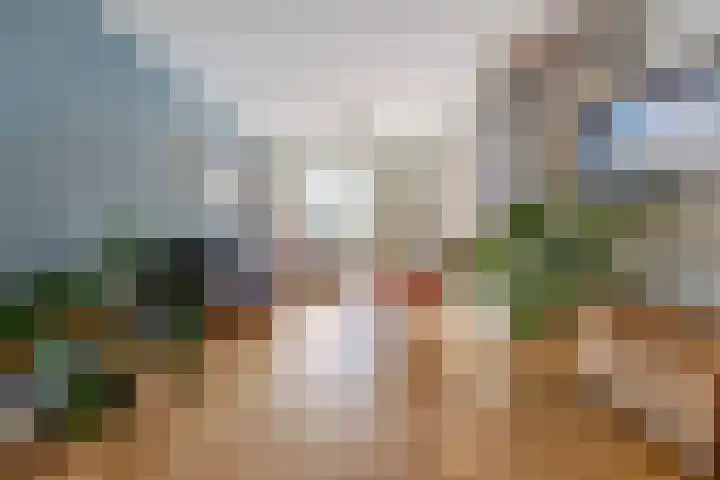 Deken van Baarstraat 45 Vlijmen thumbnail 8
