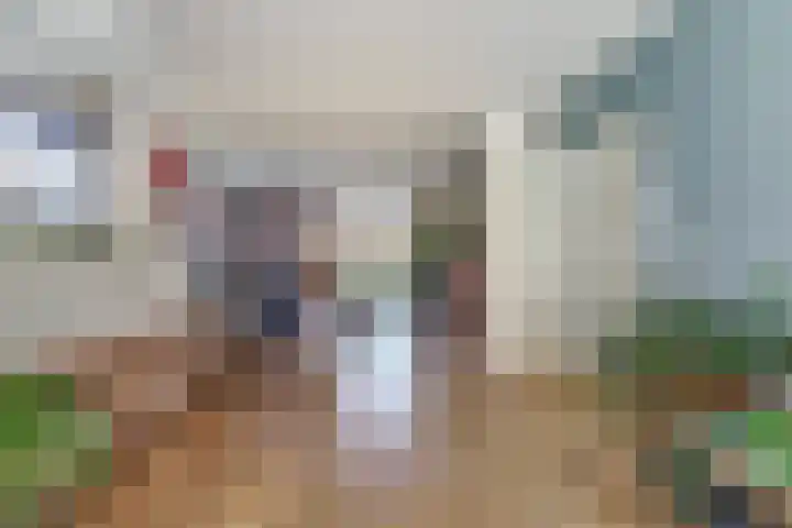 Deken van Baarstraat 45 Vlijmen thumbnail 9