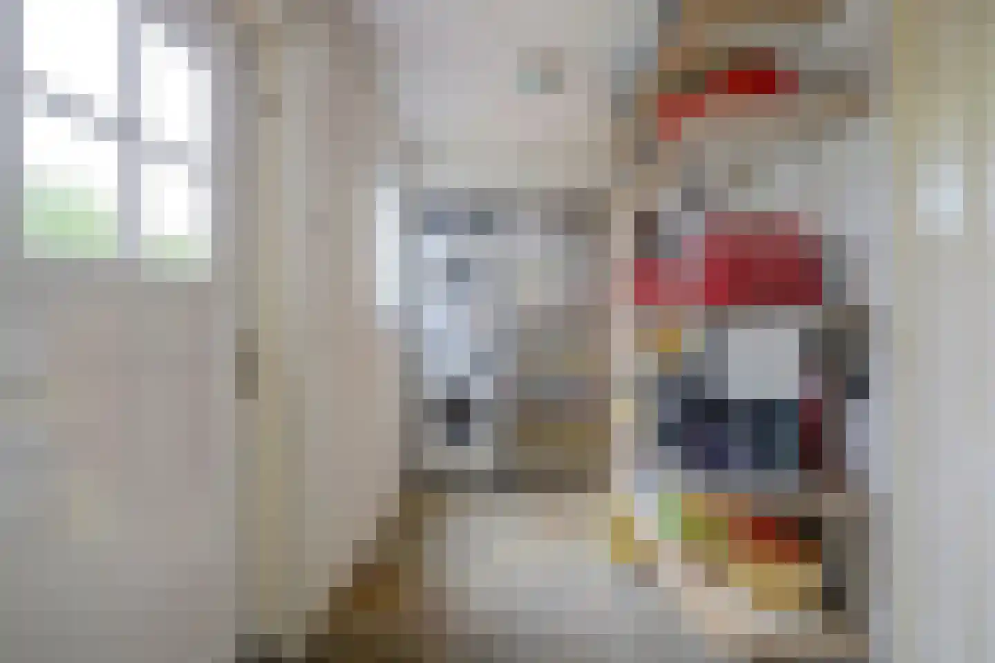 Deken van Baarstraat 49 Vlijmen thumbnail 13