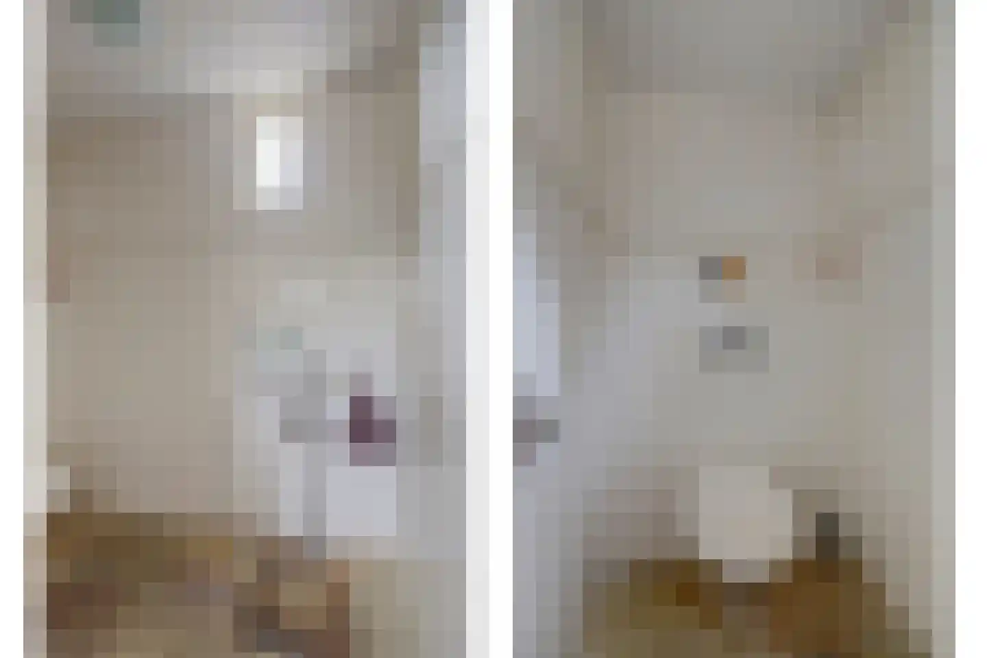 Deken van Baarstraat 49 Vlijmen thumbnail 21