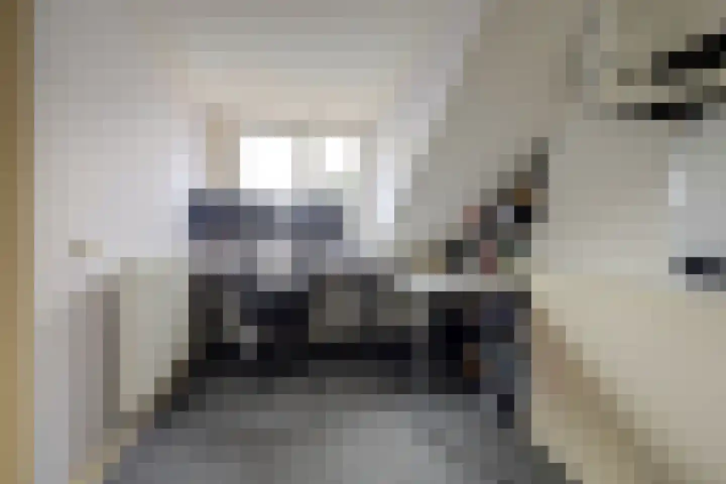 Deken van Baarstraat 49 Vlijmen thumbnail 22