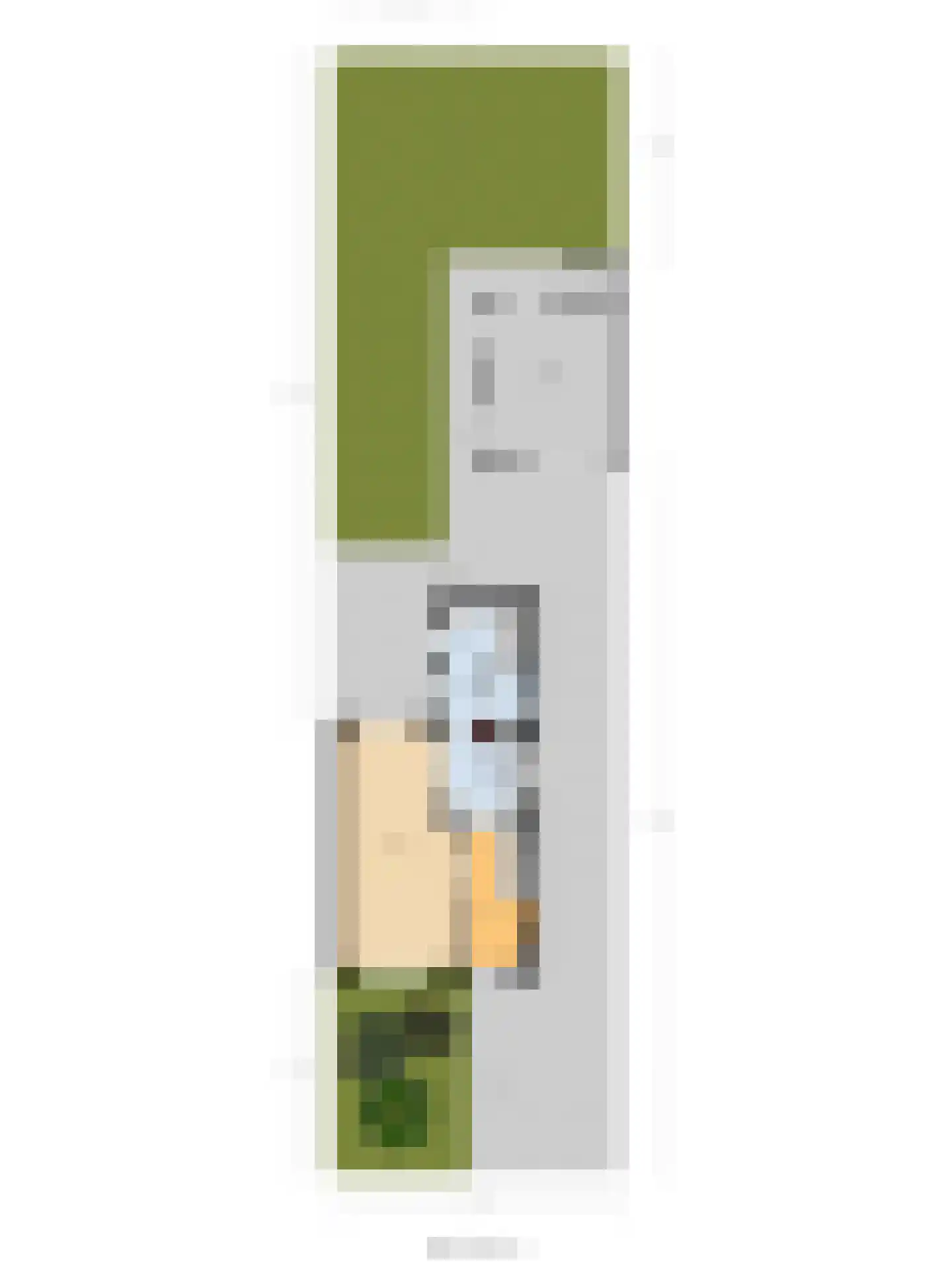 Deken van Baarstraat 49 Vlijmen thumbnail 43