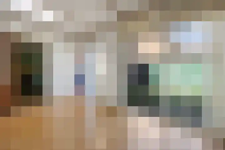 Deken van Baarstraat 51 Vlijmen thumbnail 14