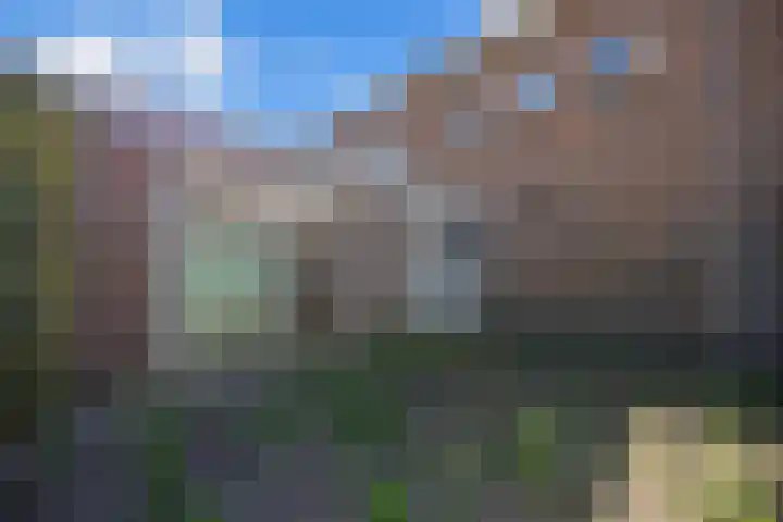 Deken van Baarstraat 51 Vlijmen thumbnail 27