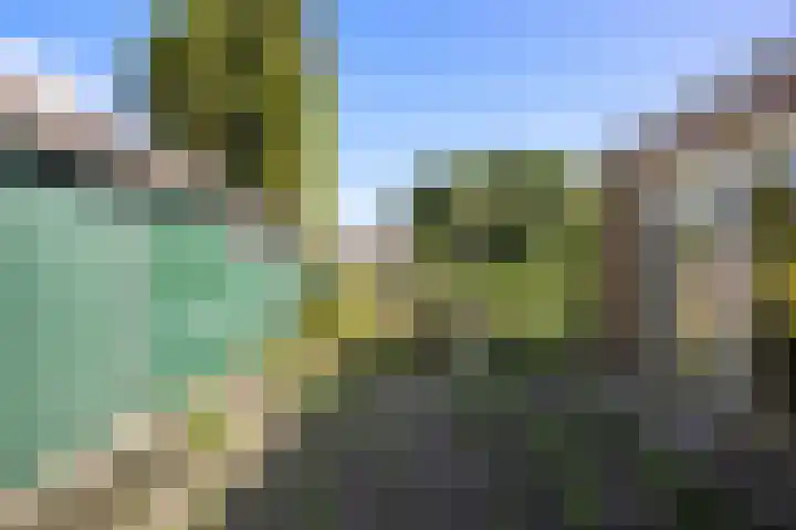Deken van Baarstraat 51 Vlijmen thumbnail 31