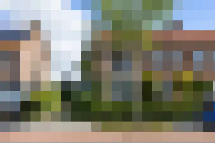 Deken van Baarstraat 51 Vlijmen thumbnail 35