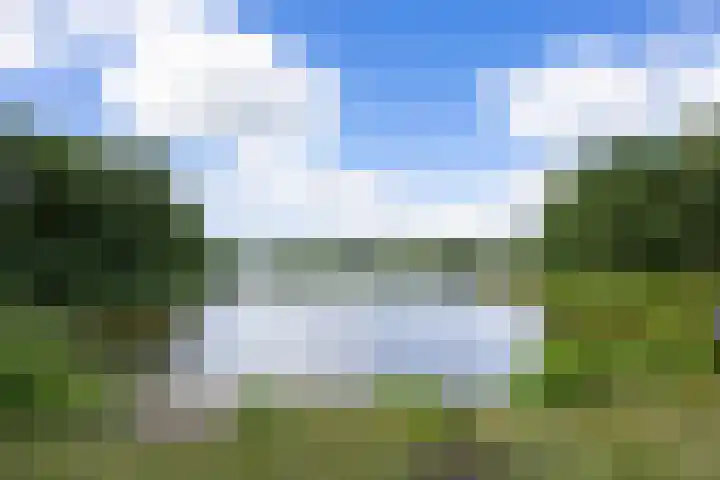 Deken van Baarstraat 51 Vlijmen thumbnail 37