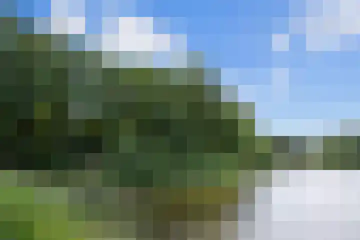 Deken van Baarstraat 51 Vlijmen thumbnail 38