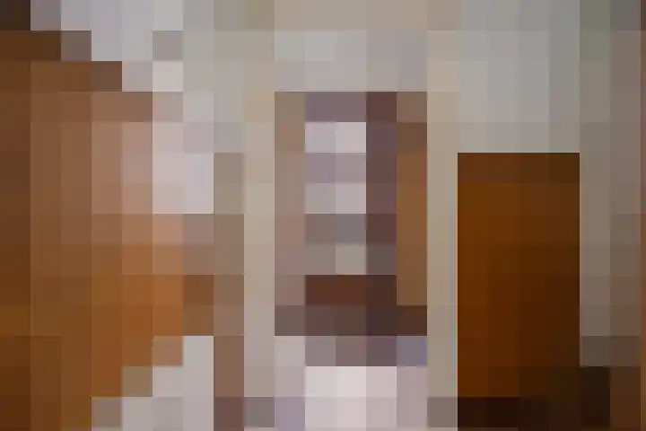 Deken van Baarstraat 51 Vlijmen thumbnail 6