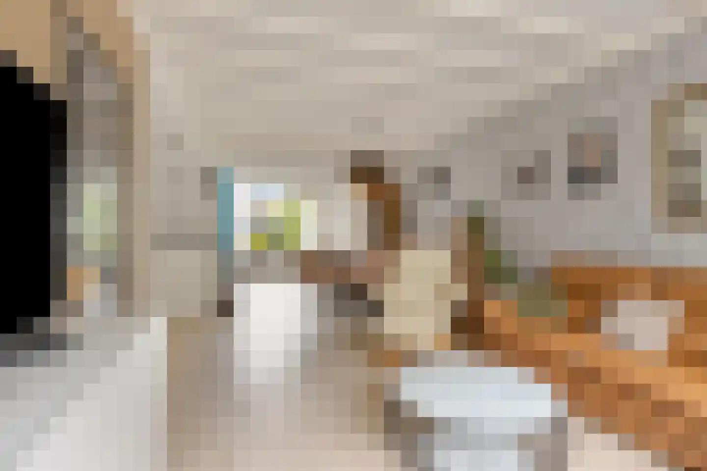 Deken van den Heuvelstraat 36 Gemert thumbnail 10