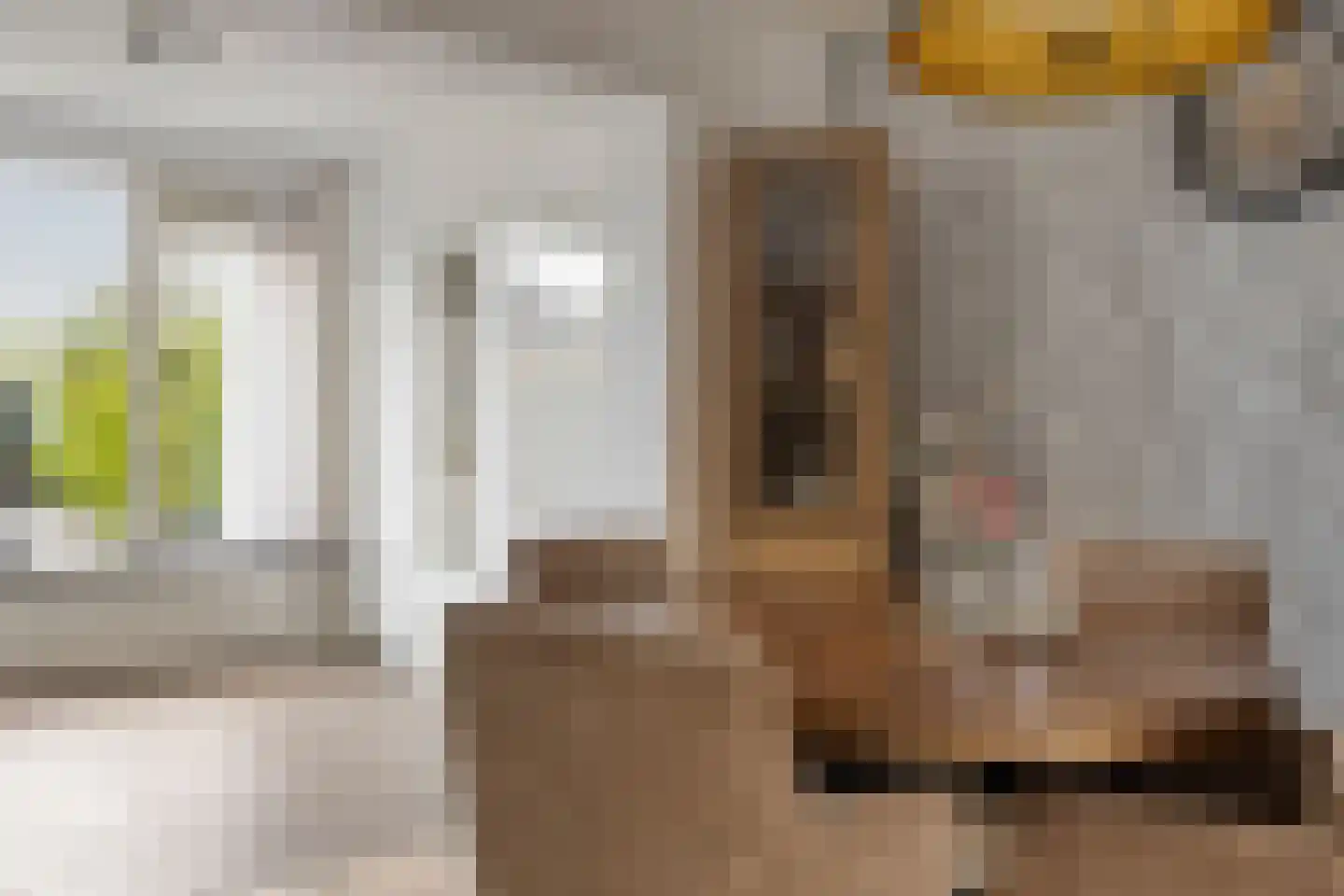 Deken van den Heuvelstraat 36 Gemert thumbnail 16