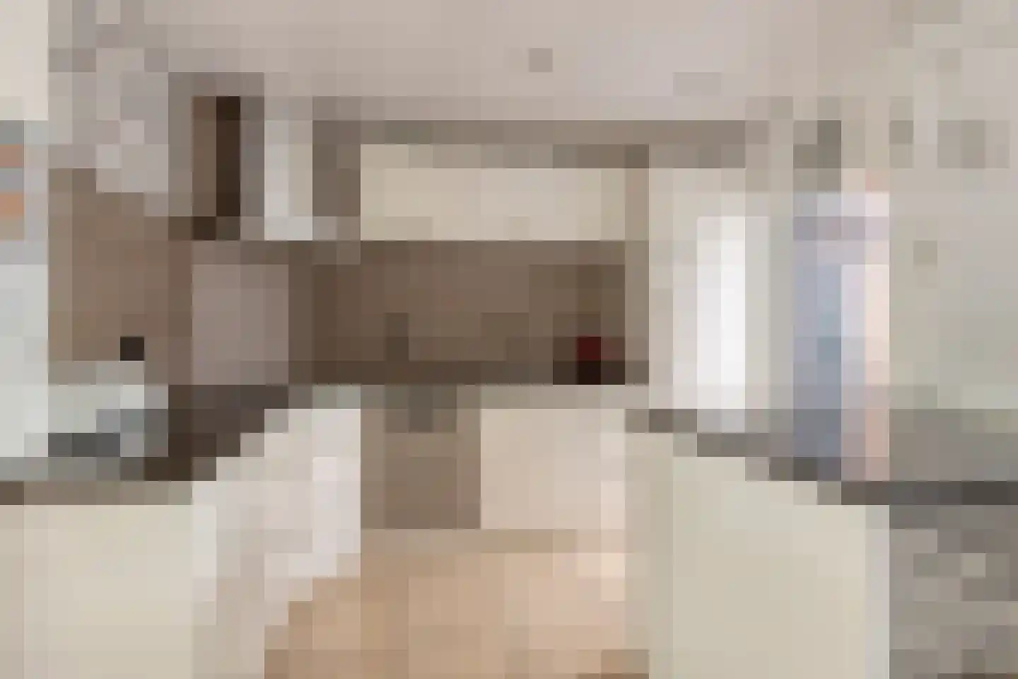 Deken van den Heuvelstraat 36 Gemert thumbnail 18