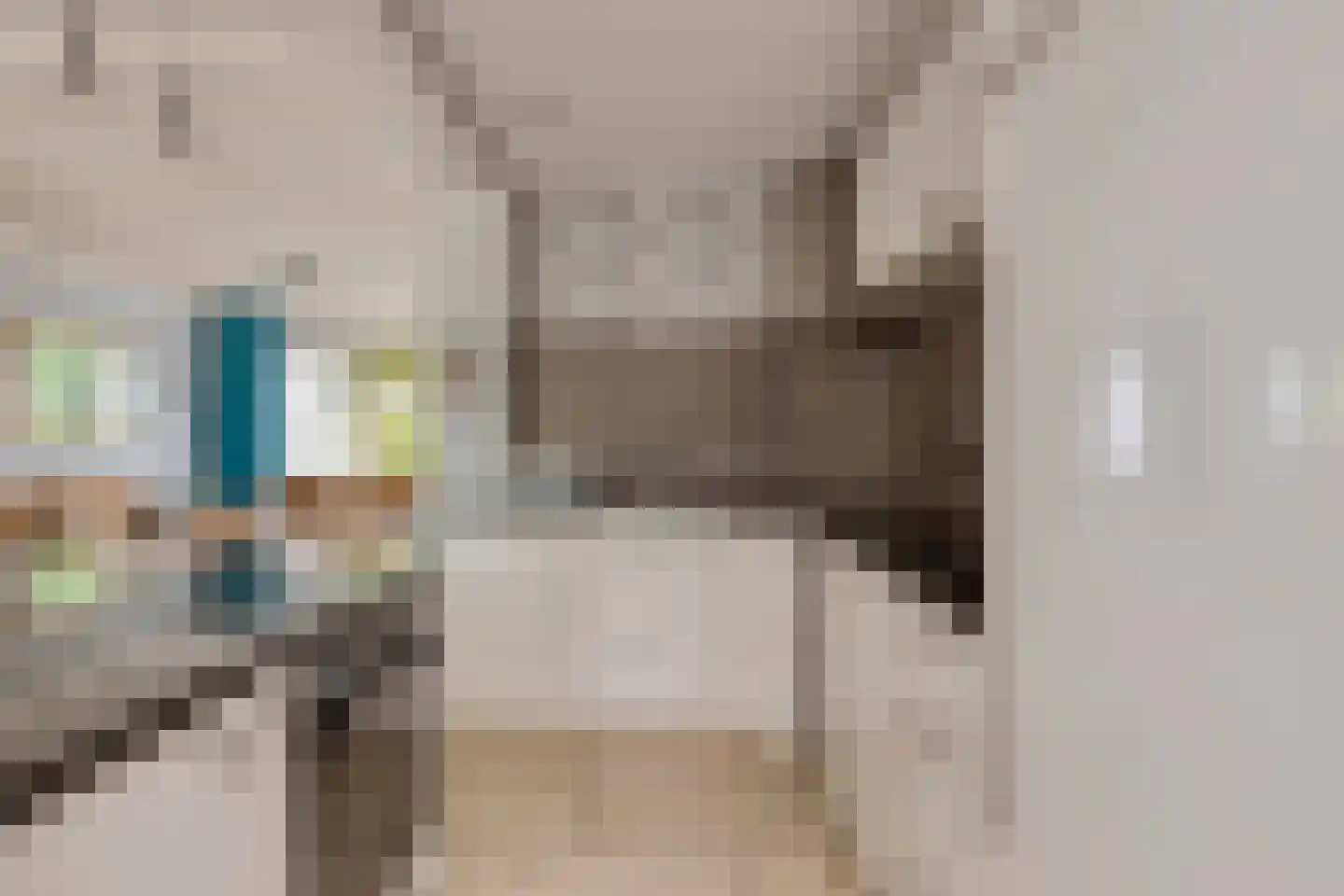 Deken van den Heuvelstraat 36 Gemert thumbnail 19