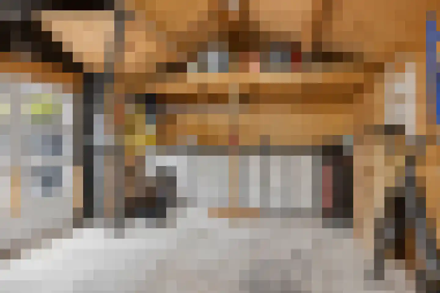 Deken van den Heuvelstraat 36 Gemert thumbnail 40