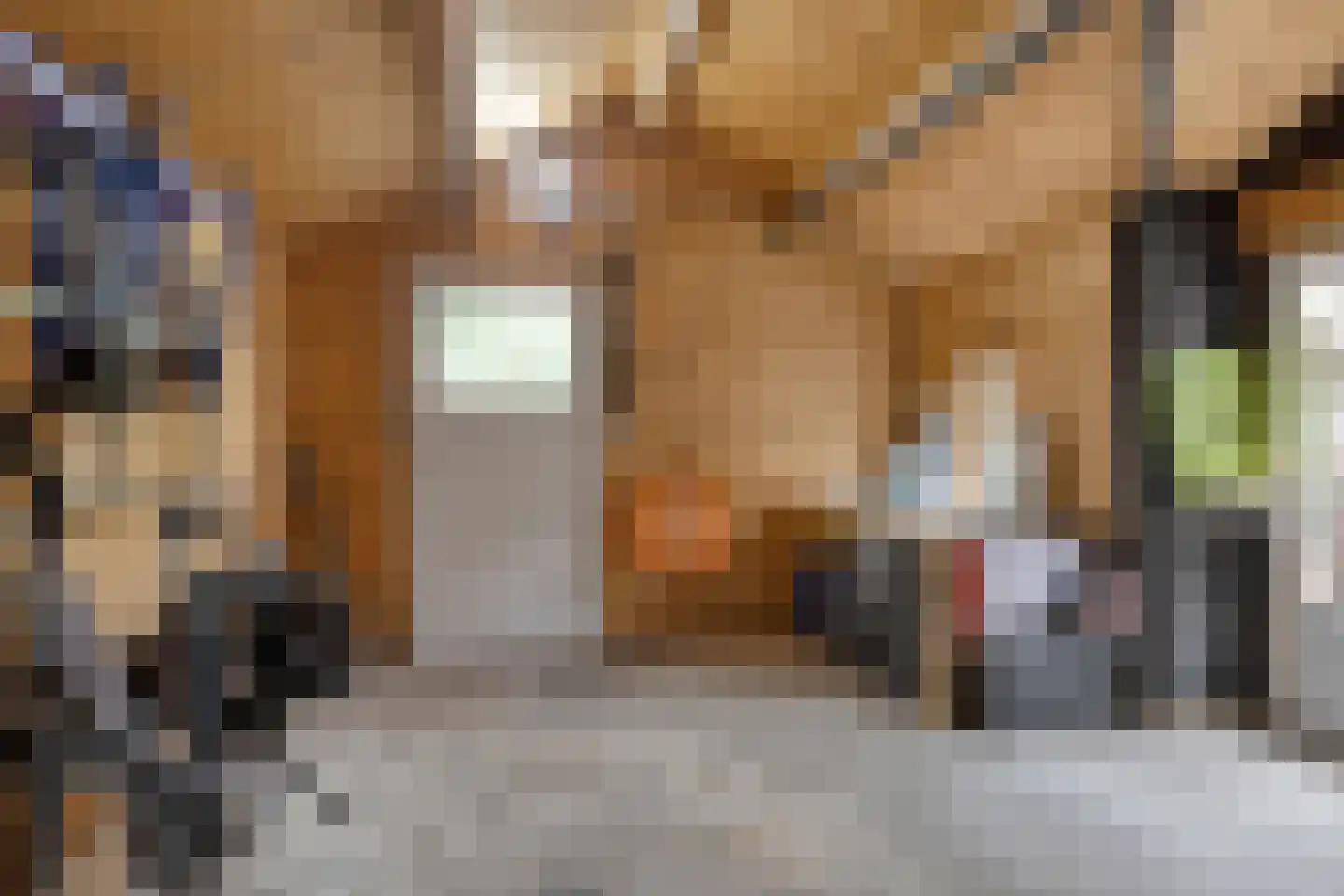 Deken van den Heuvelstraat 36 Gemert thumbnail 41