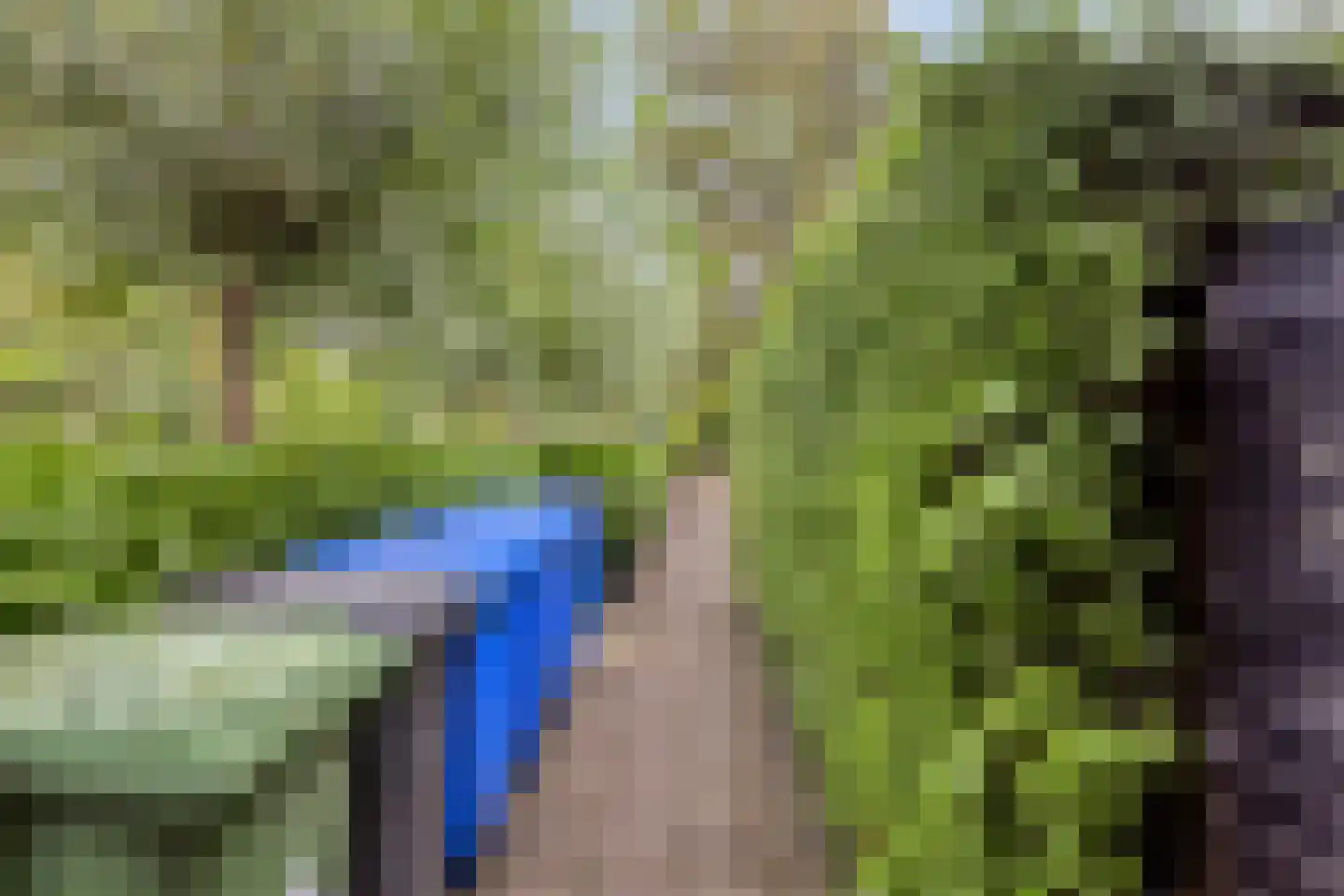 Deken van den Heuvelstraat 36 Gemert thumbnail 42